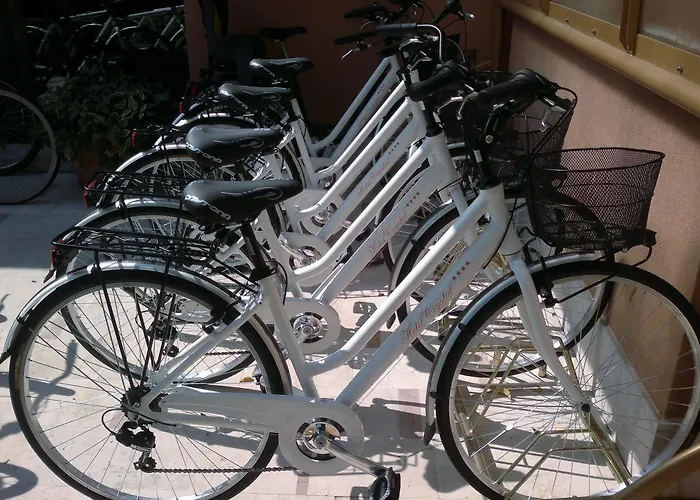 Hotel Crystal Preganziol